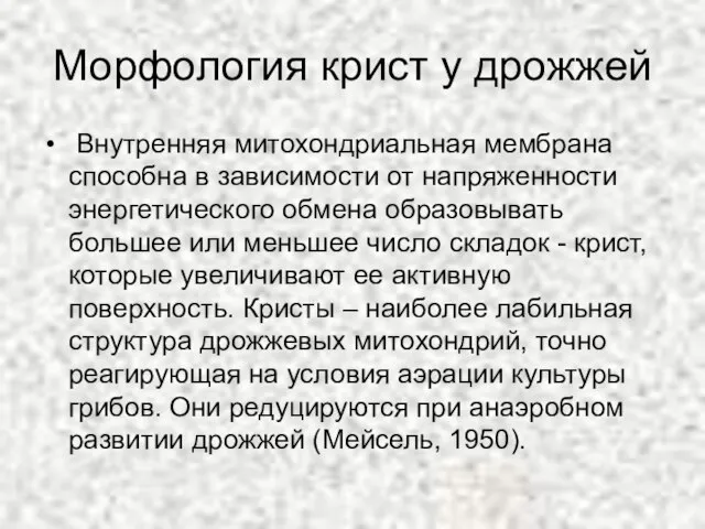 Морфология крист у дрожжей Внутренняя митохондриальная мембрана способна в зависимости от напряженности