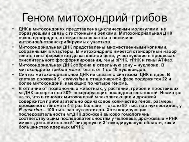 Геном митохондрий грибов ДНК в митохондриях представлена циклическими молекулами, не образующими связь