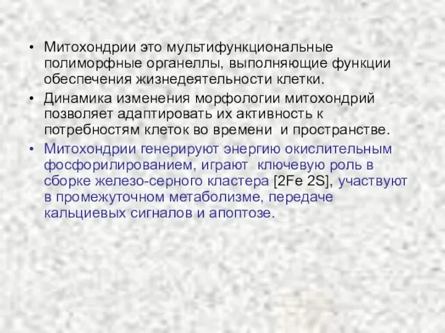 Митохондрии это мультифункциональные полиморфные органеллы, выполняющие функции обеспечения жизнедеятельности клетки. Динамика изменения