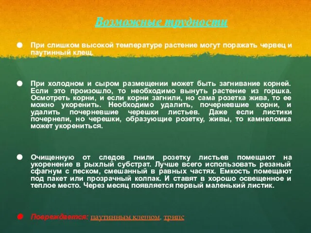 Возможные трудности При слишком высокой температуре растение могут поражать червец и паутинный