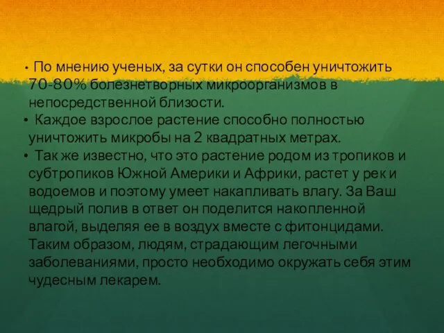 По мнению ученых, за сутки он способен уничтожить 70-80% болезнетворных микроорганизмов в