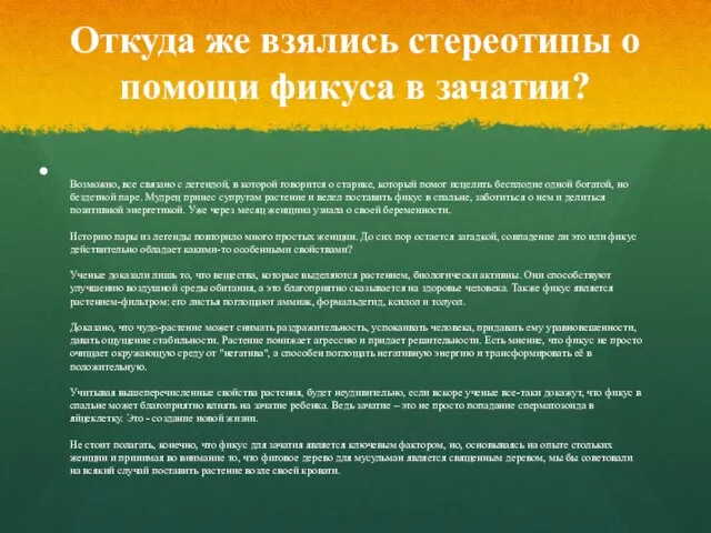 Откуда же взялись стереотипы о помощи фикуса в зачатии? Возможно, все связано