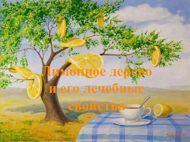 Лимонное дерево и его лечебные свойства