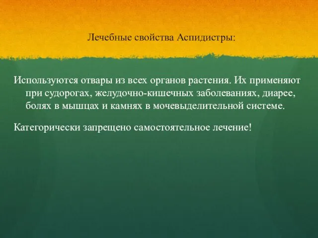 Лечебные свойства Аспидистры: Используются отвары из всех органов растения. Их применяют при