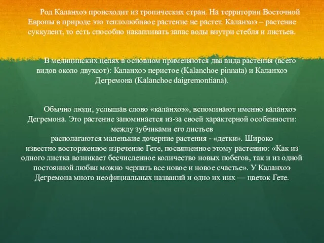 Род Каланхоэ происходит из тропических стран. На территории Восточной Европы в природе