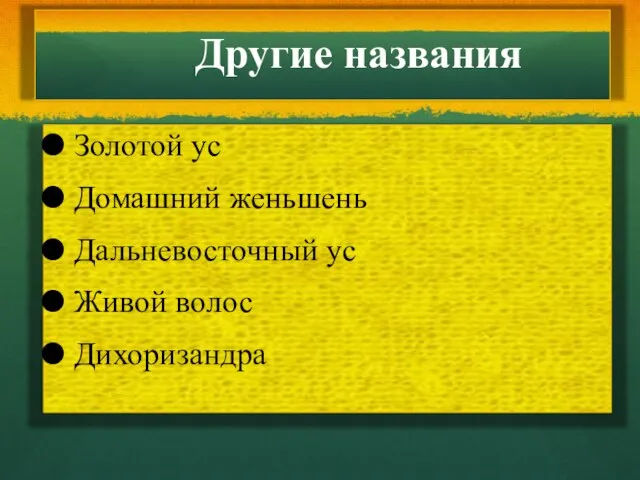 Золотой ус Домашний женьшень Дальневосточный ус Живой волос Дихоризандра Другие названия