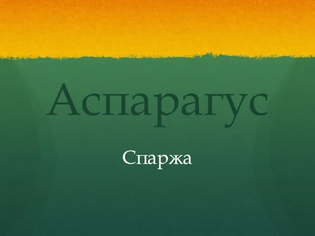 Аспарагус Спаржа