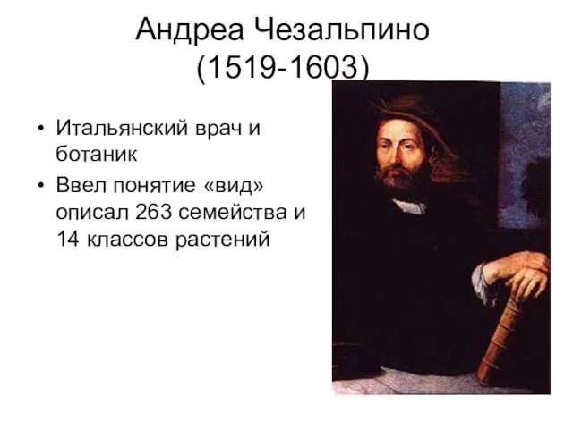 Андреа Чезальпино (1519-1603) Итальянский врач и ботаник Ввел понятие «вид»описал 263 семейства и 14 классов растений