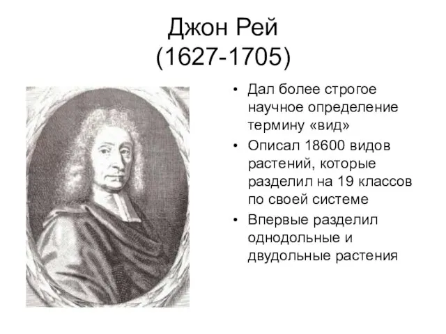 Джон Рей (1627-1705) Дал более строгое научное определение термину «вид» Описал 18600