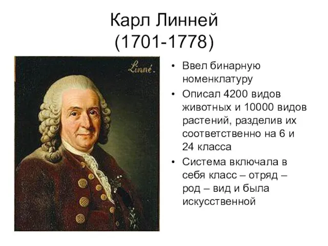 Карл Линней (1701-1778) Ввел бинарную номенклатуру Описал 4200 видов животных и 10000