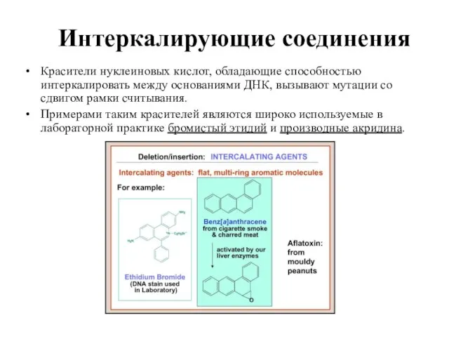 Интеркалирующие соединения Красители нуклеиновых кислот, обладающие способностью интеркалировать между основаниями ДНК, вызывают