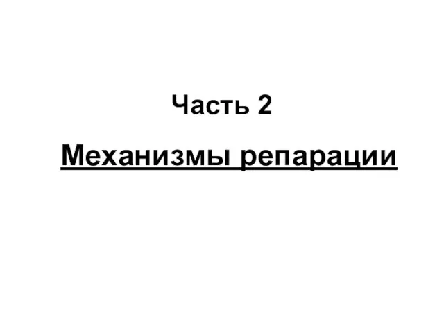 Часть 2 Механизмы репарации