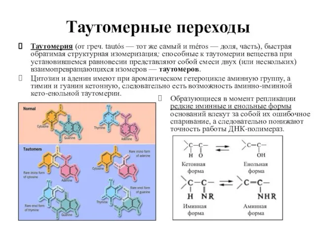 Таутомерные переходы Таутомерия (от греч. tautós — тот же самый и méros