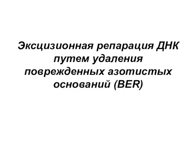 Эксцизионная репарация ДНК путем удаления поврежденных азотистых оснований (BER)