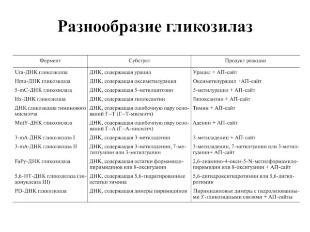 Разнообразие гликозилаз