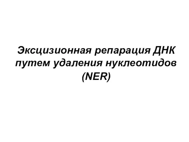 Эксцизионная репарация ДНК путем удаления нуклеотидов (NER)