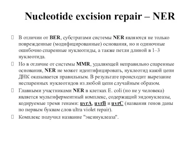 Nucleotide excision repair – NER В отличии от BER, субстратами системы NER