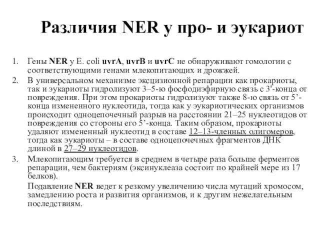 Различия NER у про- и эукариот Гены NER у E. coli uvrA,