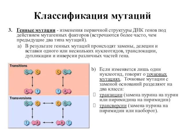 Классификация мутаций Генные мутации - изменения первичной структуры ДНК генов под действием