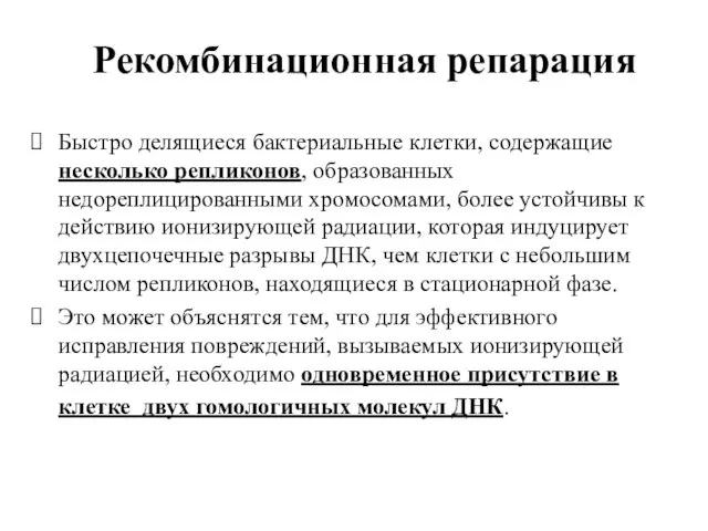 Рекомбинационная репарация Быстро делящиеся бактериальные клетки, содержащие несколько репликонов, образованных недореплицированными хромосомами,