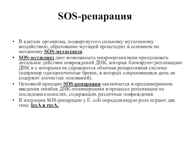 SOS-репарация В клетках организма, подвергнутого сильному мутагенному воздействию, образование мутаций происходит в