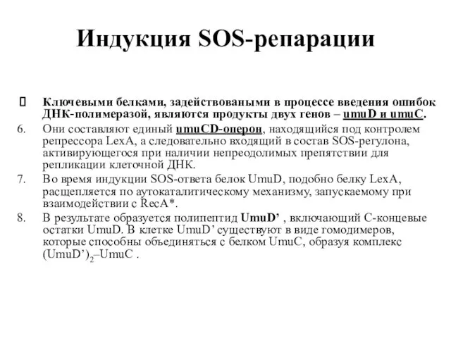 Индукция SOS-репарации Ключевыми белками, задействоваными в процессе введения ошибок ДНК-полимеразой, являются продукты