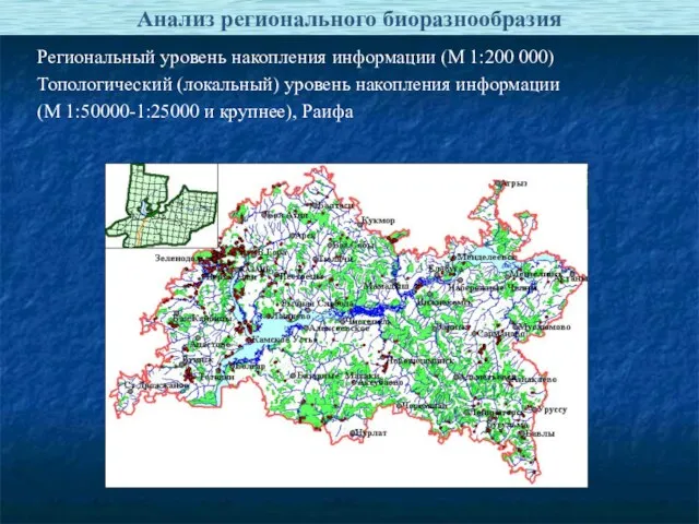 Анализ регионального биоразнообразия Региональный уровень накопления информации (М 1:200 000) Топологический (локальный)