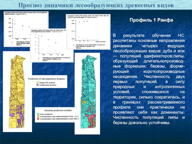 Прогноз динамики лесообразующих древесных видов В результате обучения НС рассчитаны основные направления