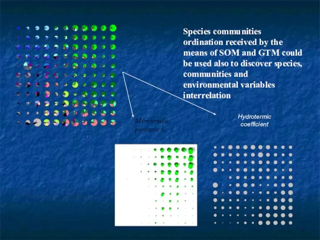 Hydrotermic coefficient Species communities ordination received by the means of SOM and