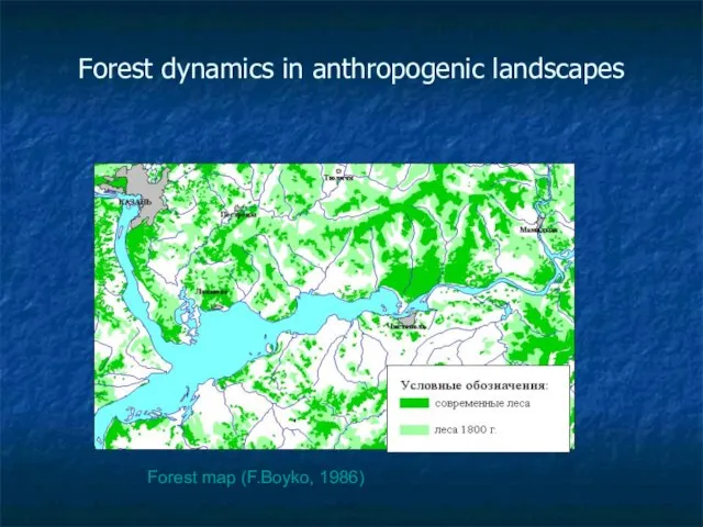 Forest dynamics in anthropogenic landscapes Forest map (F.Boyko, 1986)