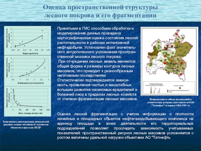 Оценка пространственной структуры лесного покрова и его фрагментации Принятыми в ГИС способами