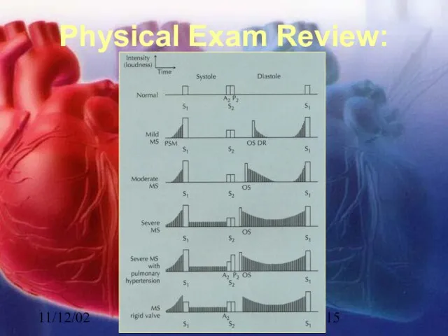 11/12/02 Lubna Piracha, D.O. Physical Exam Review: