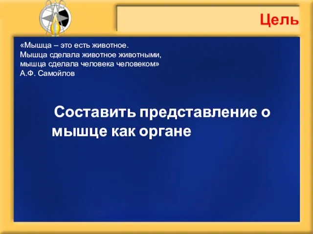 Цель Составить представление о мышце как органе «Мышца – это есть животное.