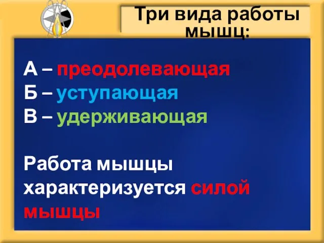 А – преодолевающая Б – уступающая В – удерживающая Работа мышцы характеризуется