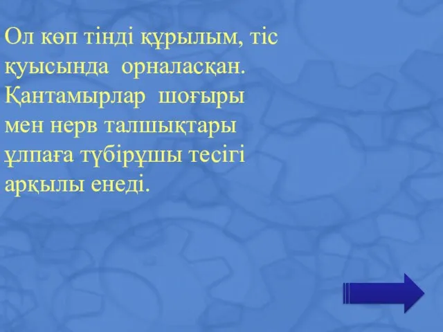 Ол көп тінді құрылым, тіс қуысында орналасқан. Қантамырлар шоғыры мен нерв талшықтары