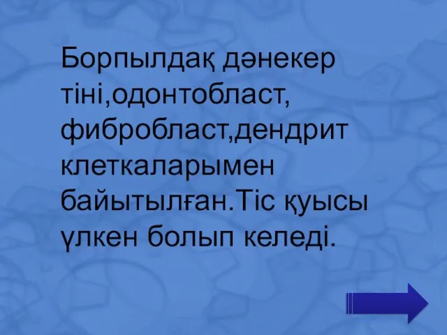 Борпылдақ дәнекер тіні,одонтобласт,фибробласт,дендрит клеткаларымен байытылған.Тіс қуысы үлкен болып келеді.