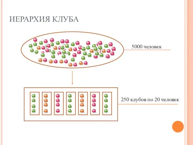 ИЕРАРХИЯ КЛУБА 5000 человек 250 клубов по 20 человек