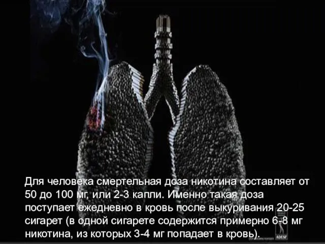 Для человека смертельная доза никотина составляет от 50 до 100 мг, или