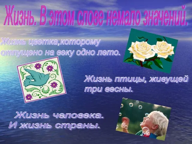 Жизнь. В этом слове немало значений. Жизнь цветка,которому отпущено на веку одно