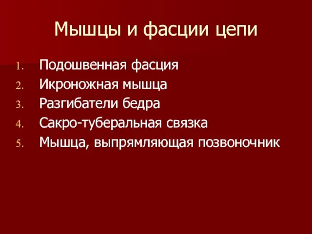 Мышцы и фасции цепи Подошвенная фасция Икроножная мышца Разгибатели бедра Сакро-туберальная связка Мышца, выпрямляющая позвоночник