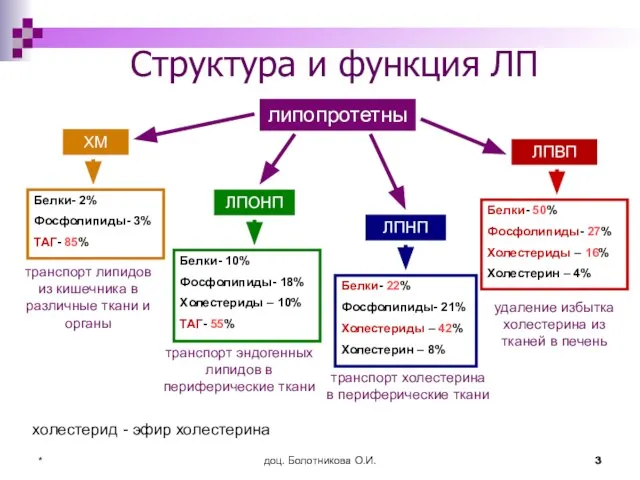 доц. Болотникова О.И. * Структура и функция ЛП липопротетны ЛПНП ЛПВП Белки-