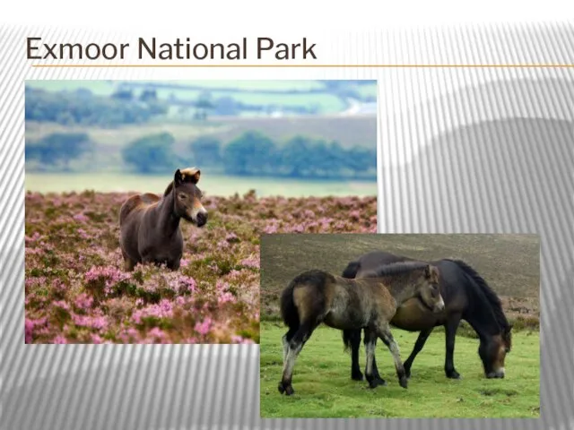 Exmoor National Park