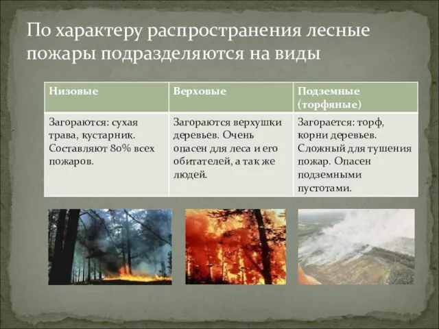 По характеру распространения лесные пожары подразделяются на виды