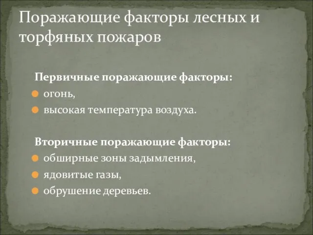 Первичные поражающие факторы: огонь, высокая температура воздуха. Вторичные поражающие факторы: обширные зоны