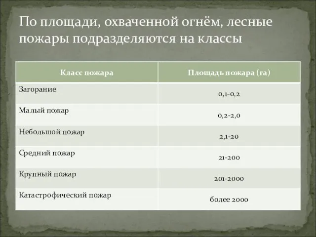 По площади, охваченной огнём, лесные пожары подразделяются на классы