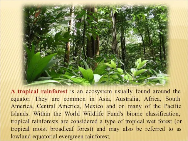A tropical rainforest is an ecosystem usually found around the equator. They