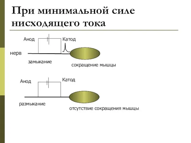 При минимальной силе нисходящего тока Катод Анод Анод Катод замыкание размыкание сокращение