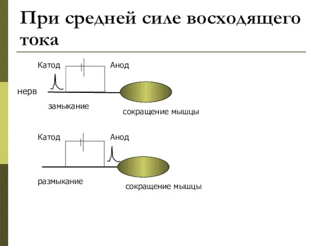 При средней силе восходящего тока Катод Анод Анод Катод замыкание размыкание сокращение мышцы нерв сокращение мышцы