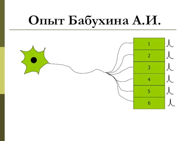 Опыт Бабухина А.И.