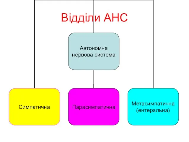 Відділи АНС